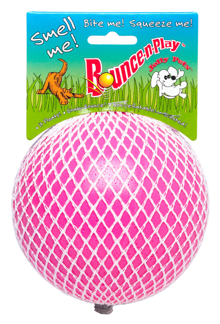 Jolly Pet Bounce-n-Play Ball Scented Dog Toy