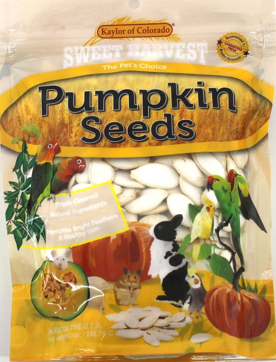 Sweet Harvest Pumpkin Seed Bird Food