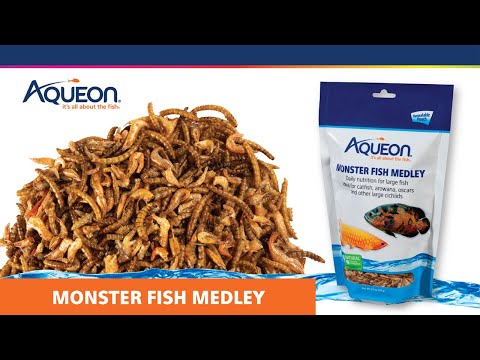 Aqueon Monster Fish Medley.