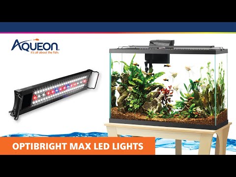 Aqueon OptiBright MAX LED Light.