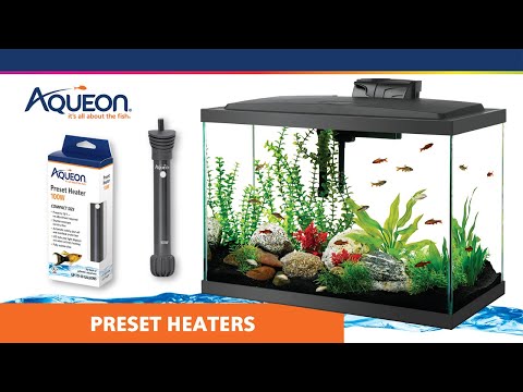 Aqueon Preset Aquarium Heater.