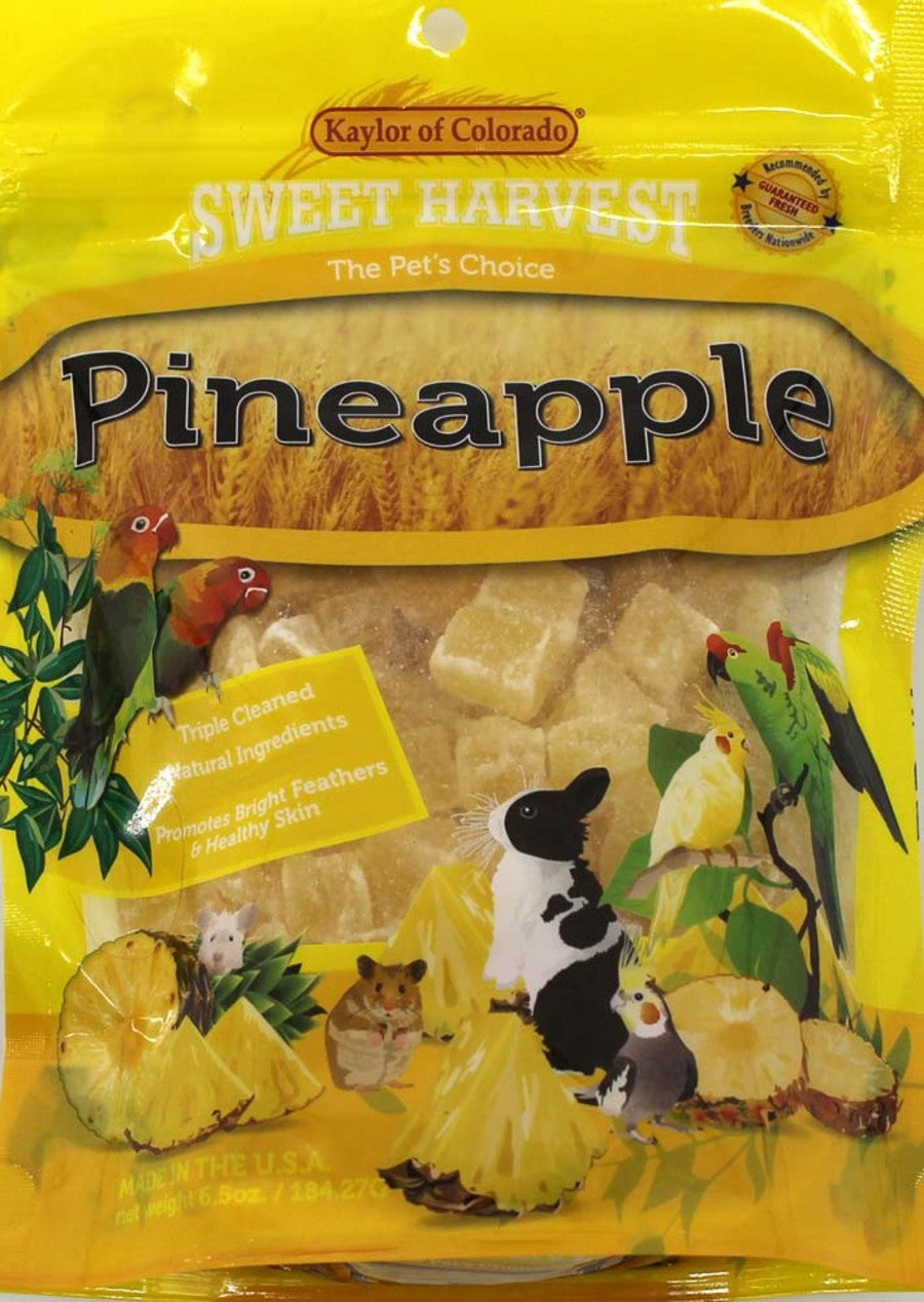 Sweet Harvest Pineapple Bird Treats
