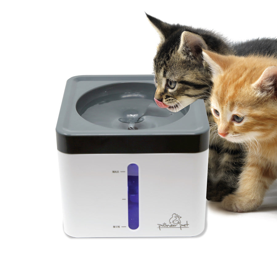 Pioneer Pet Vortex Drinking Pet Fountain