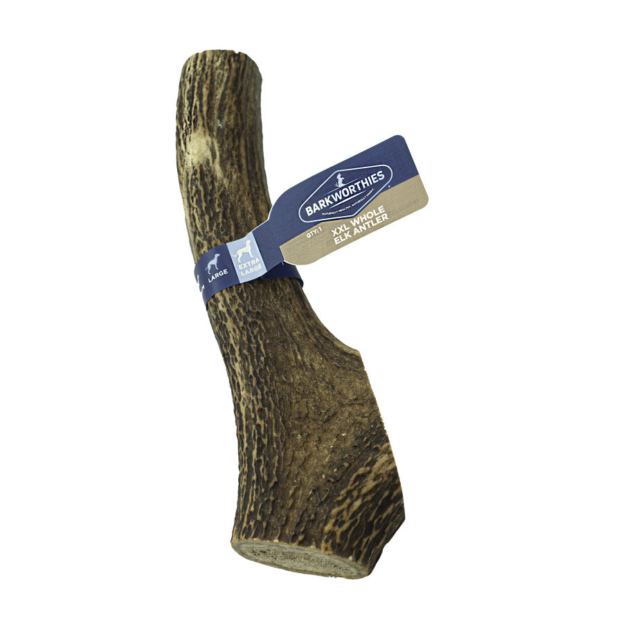 Barkworthies Whole Elk Antler Dog Treat