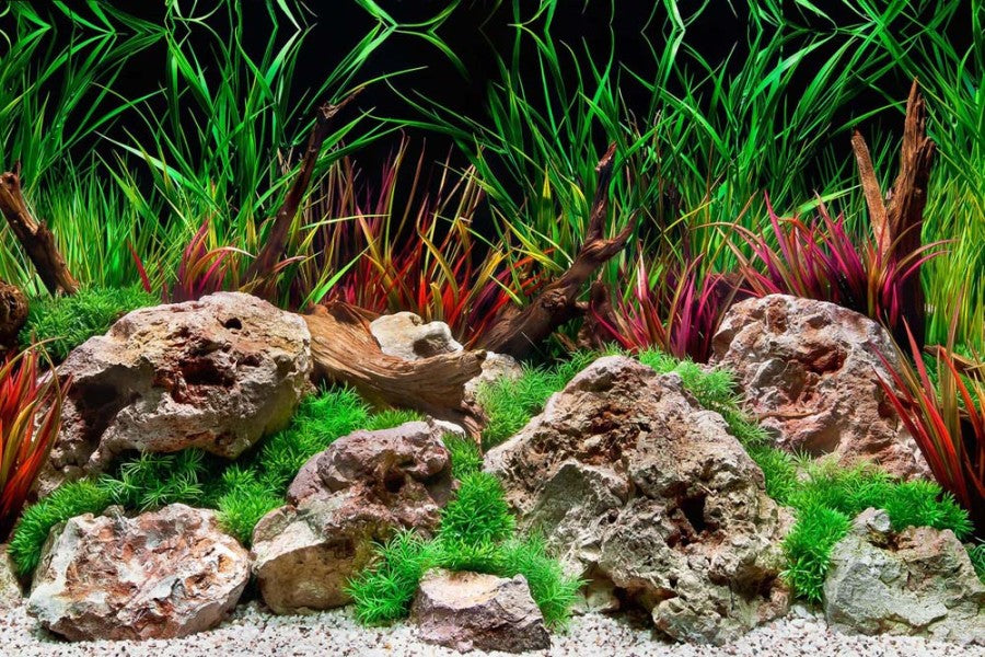 Seaview Double Sided Background