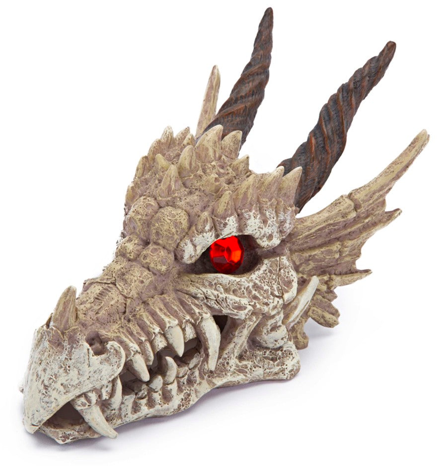 Penn-Plax Dragon Skull Gazer Aquarium Ornament