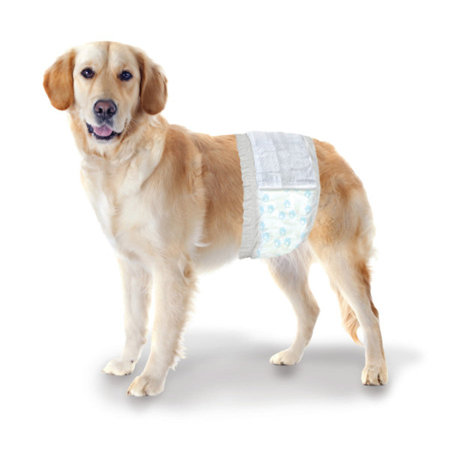Four Paws Wee-Wee® Disposable Male Dog Wraps