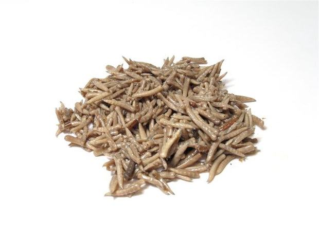 Timbuktu Outdoors Birdwatcher's Choice Fly Larvae