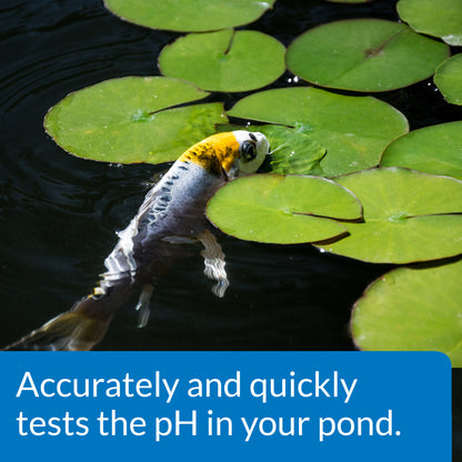 API Pond Liquid Wide Range pH Test Kit API Fishcare API