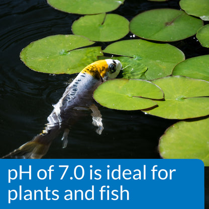 API Pond Liquid Wide Range pH Test Kit API Fishcare API