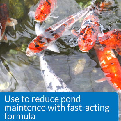 API Pond Simply Clear – 16 oz, 32 oz, 64 oz API Fishcare API