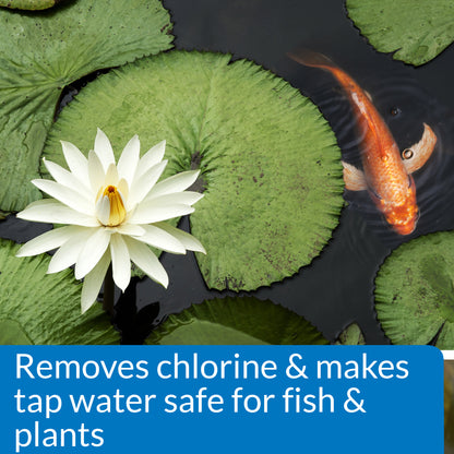 API Pond Chlorine & Heavy Metal Neutralizer – 16 oz, 32 oz API Fishcare API
