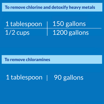 API Pond Chlorine & Heavy Metal Neutralizer – 16 oz, 32 oz API Fishcare API