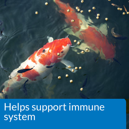 Pond Fish Food – 4 mm Pellets, 11.5 oz, 1.56 lb, 2.68 lb API Fishcare API