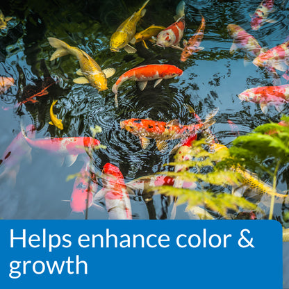 Pond Fish Food – 4 mm Pellets, 11.5 oz, 1.56 lb, 2.68 lb API Fishcare API