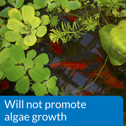 API Pond pH Down – 16 oz API Fishcare API