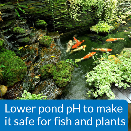 API Pond pH Down – 16 oz API Fishcare API