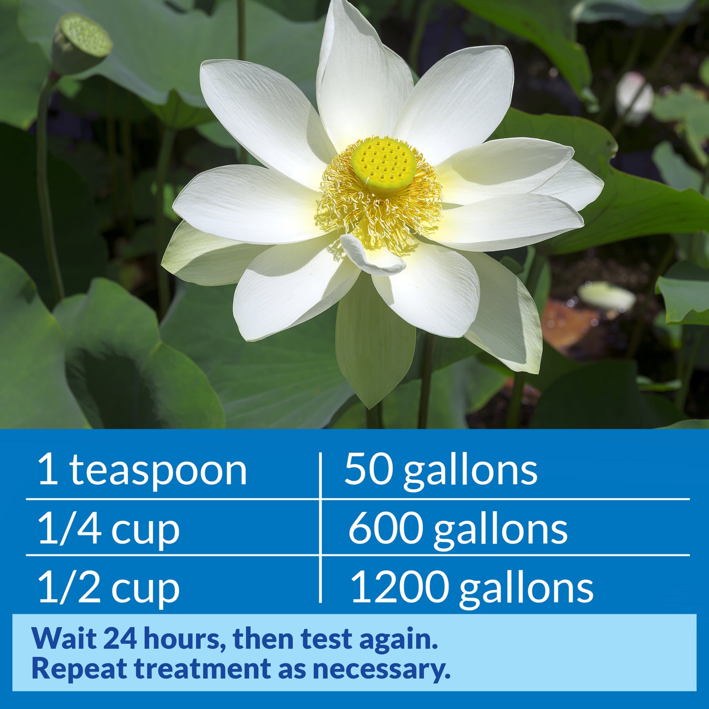 API Pond pH Down – 16 oz API Fishcare API