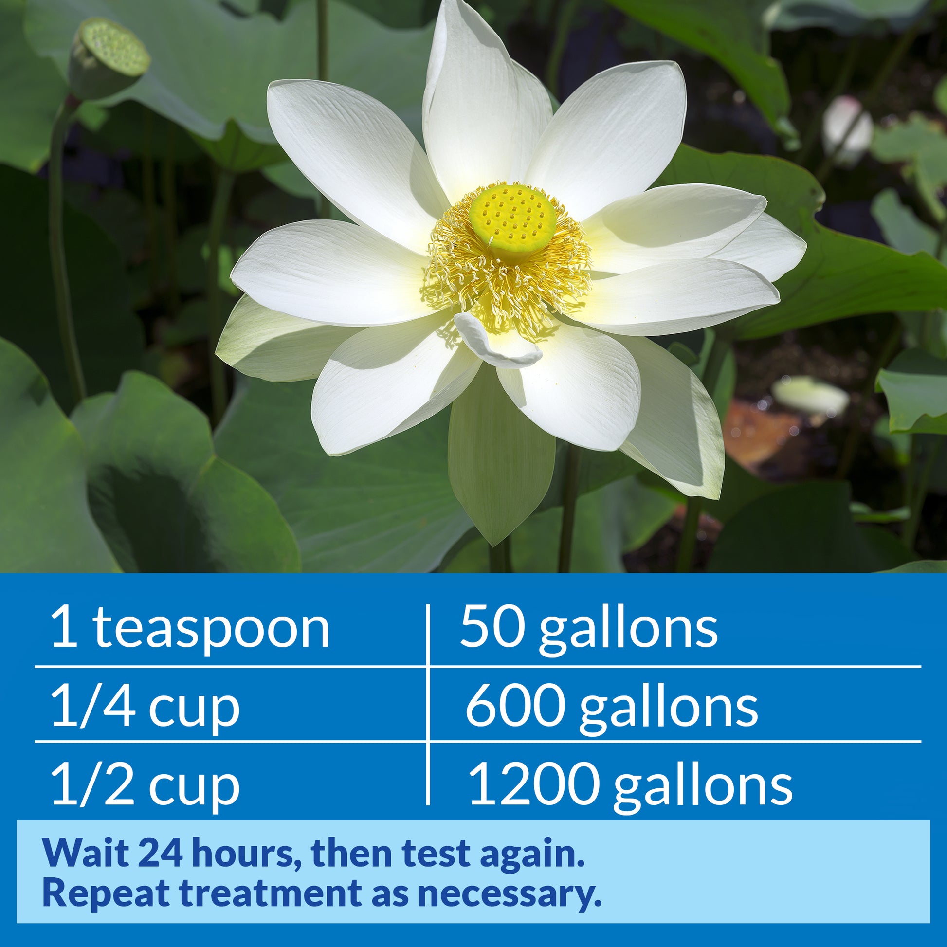 API Pond pH Down – 16 oz API Fishcare API