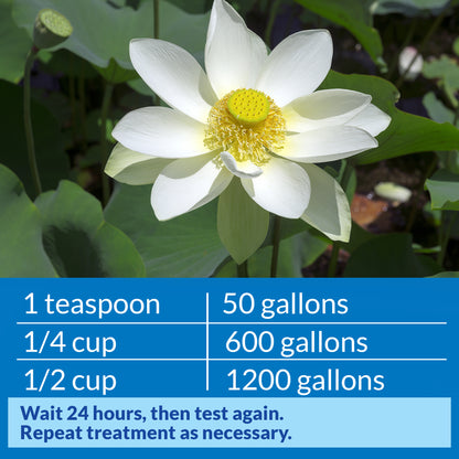 API Pond pH Down – 16 oz API Fishcare API