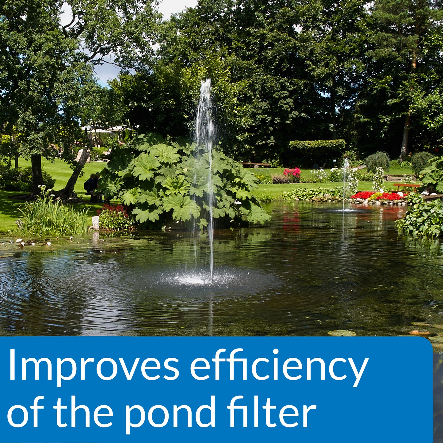 API Pond Accu-Clear Pond Water Clarifier – 16 oz, 32 oz, 64 oz, 1 Gal API Fishcare API