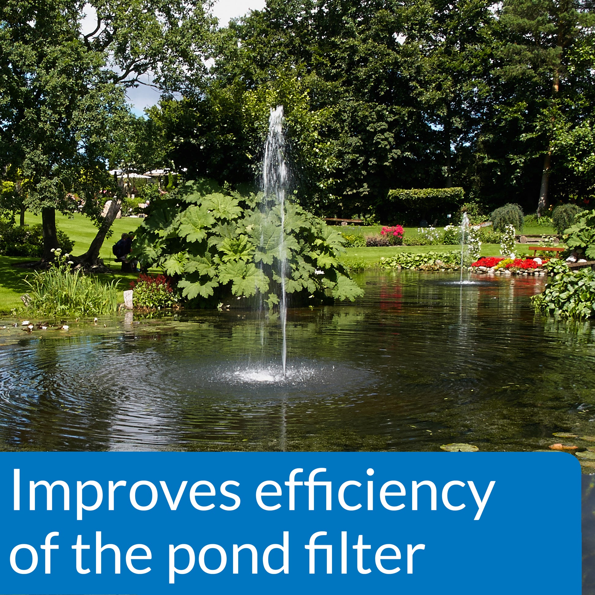 API Pond Accu-Clear Pond Water Clarifier – 16 oz, 32 oz, 64 oz, 1 Gal API Fishcare API