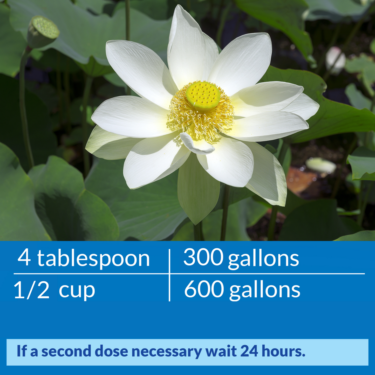 API Pond Accu-Clear Pond Water Clarifier – 16 oz, 32 oz, 64 oz, 1 Gal API Fishcare API
