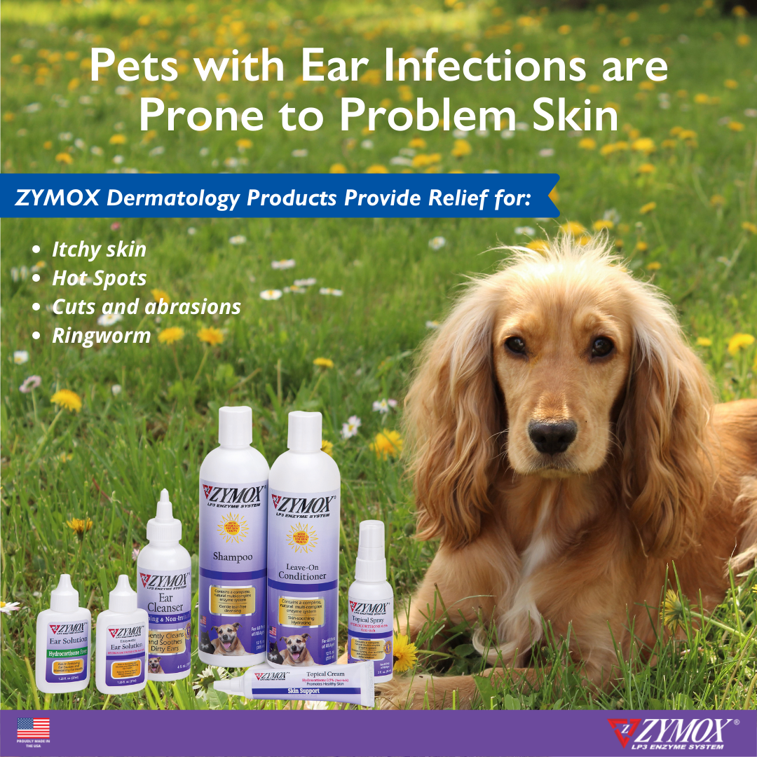 Zymox Ear Solution without Hydrocortisone.