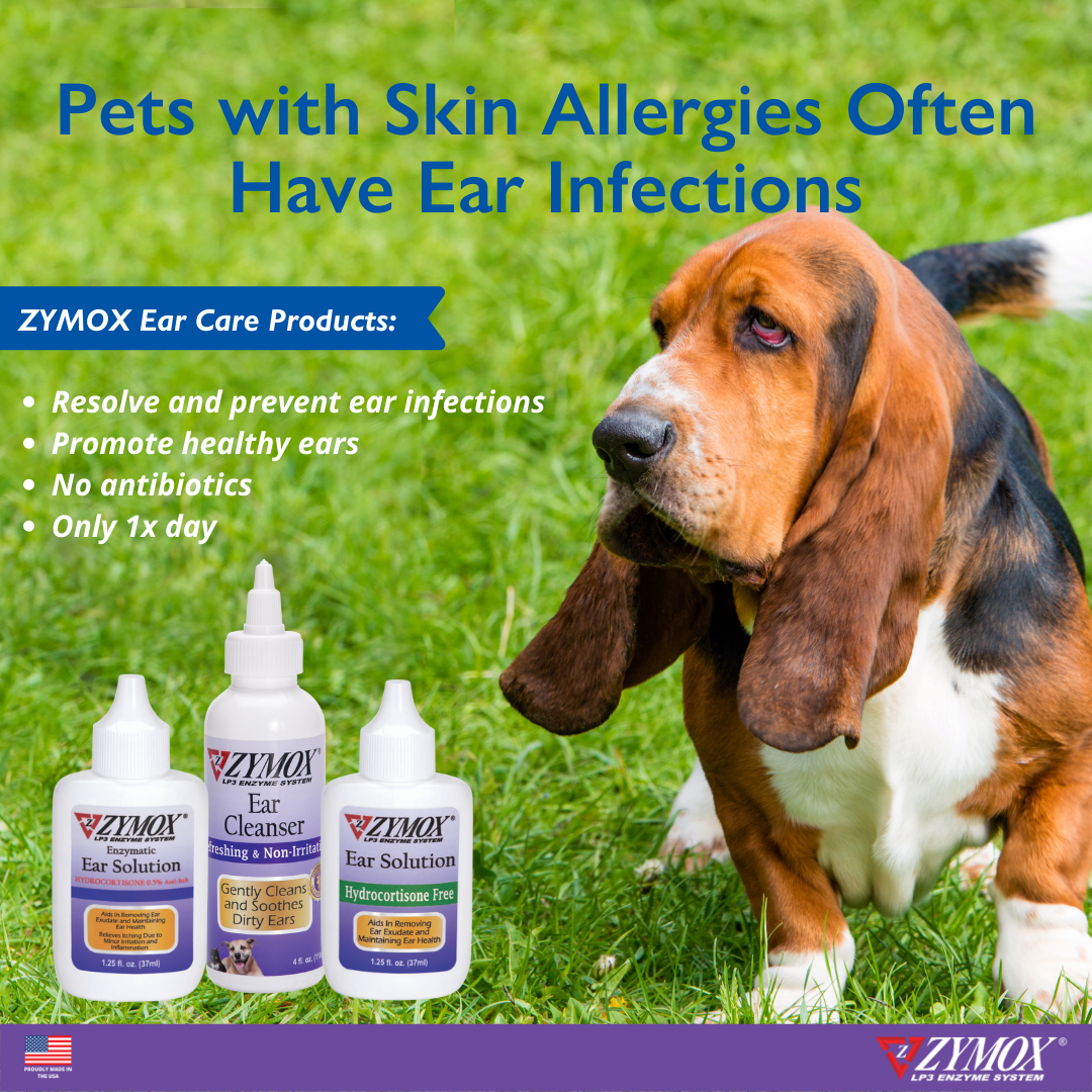 Zymox Topical Spray 0.5% Hydrocortisone.