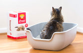 Dr. Elsey's Cat Attract Scoopable Cat Litter