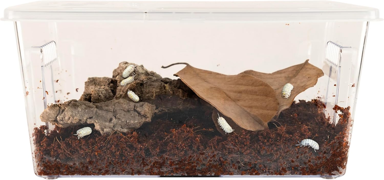Zoo Med Creatures Roly Poly Isopod Habitat Kit Zoo-Med