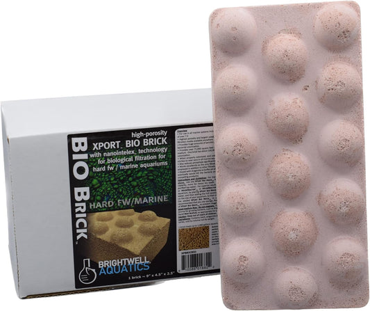 Brightwell Aquatics Xport BIO Brick