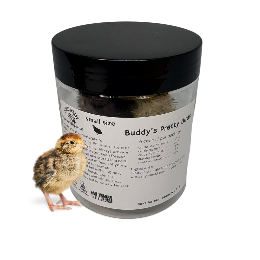 Whole Quail for Carnivore Pets - Premium Quality Natural Pet Treats Quail - Natural Prey Feeding Quail - Freeze-Dried for Essential Nutrients and Enzymes Small Size