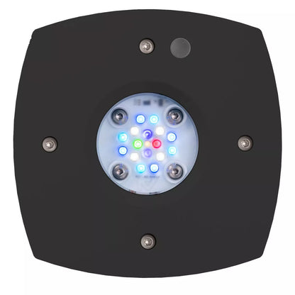 AI Prime 16 HD LED Reef Light - Black Body