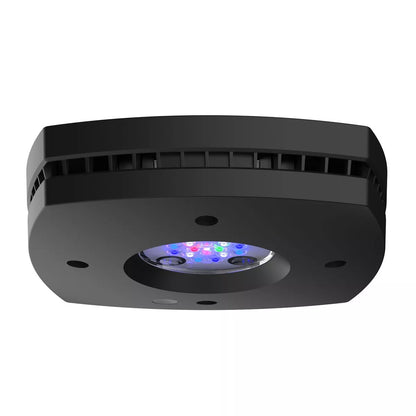 AI Prime 16 HD LED Reef Light - Black Body