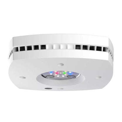 AI Prime 16 LED Freshwater Light - White Body