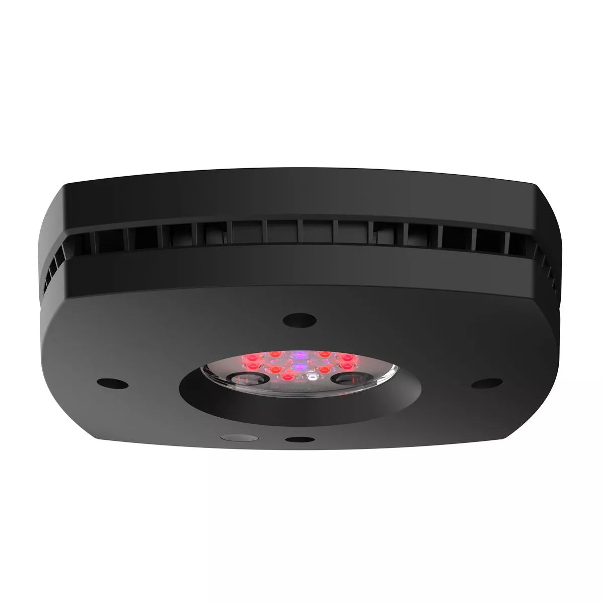 AI Prime 16 LED Fuge Light - Black Body