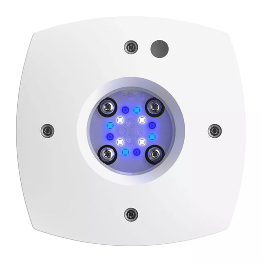 AI Prime 16 SOL LED Light - White Body