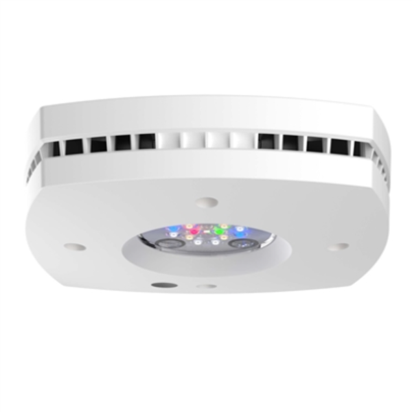 AI Prime 16HD - WHITE