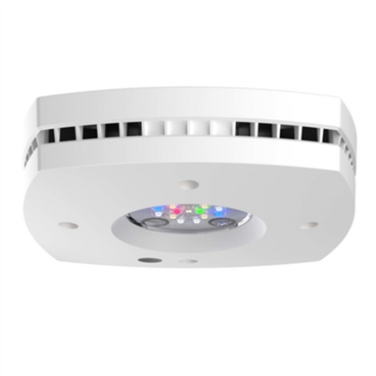 AI Prime 16HD - WHITE