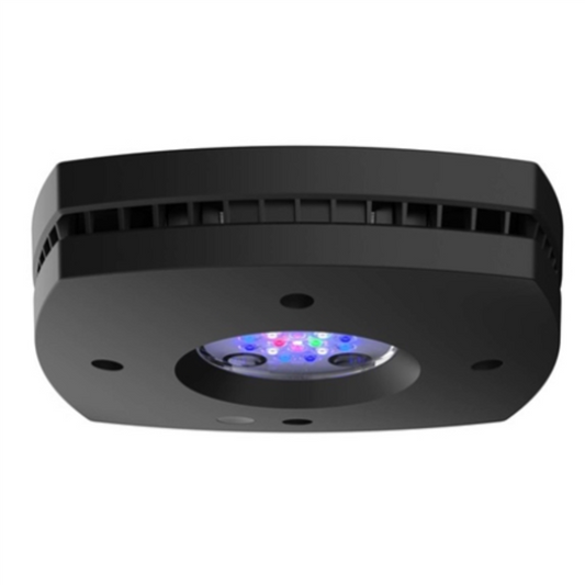 AI Prime 16HD - BLACK