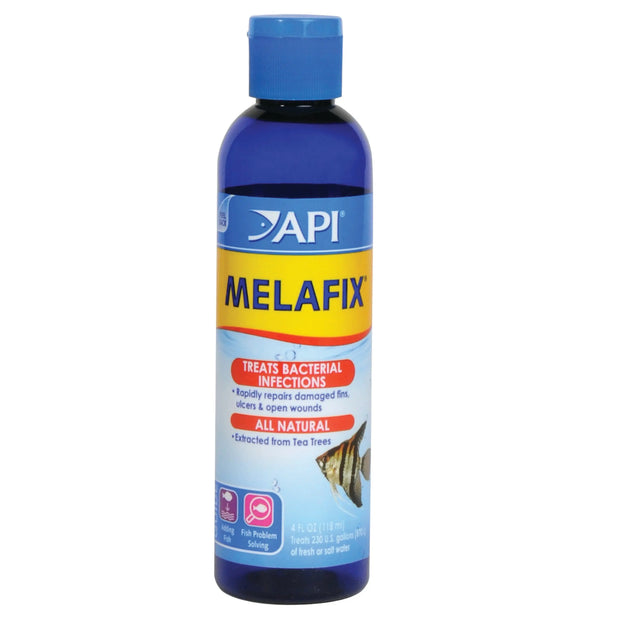 API Melafix API