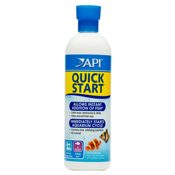 API Quick Start API