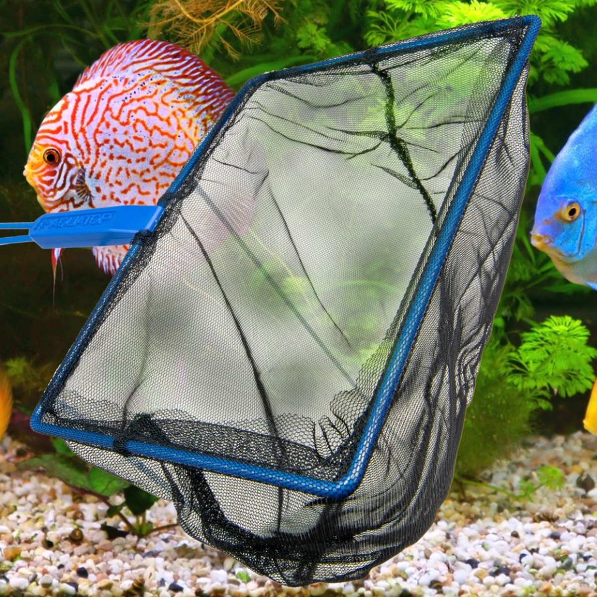 AQUATOP 6" Medium Mesh Aquarium Fish Net with 11.5-Inch Handle, AQ-FNO6M