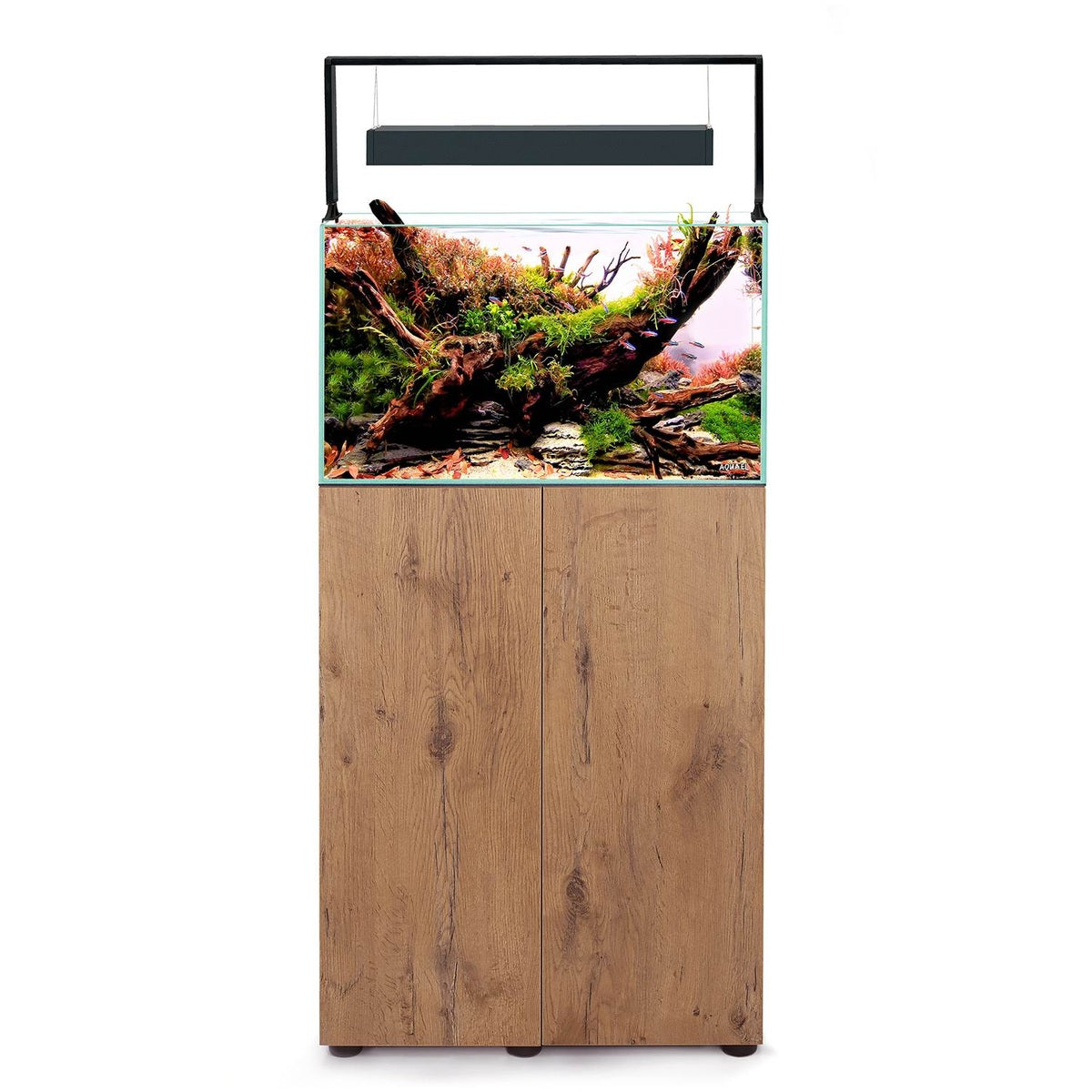 AquaEl UltraScape Set 60 Forest with Leddy Slim and Cabinet