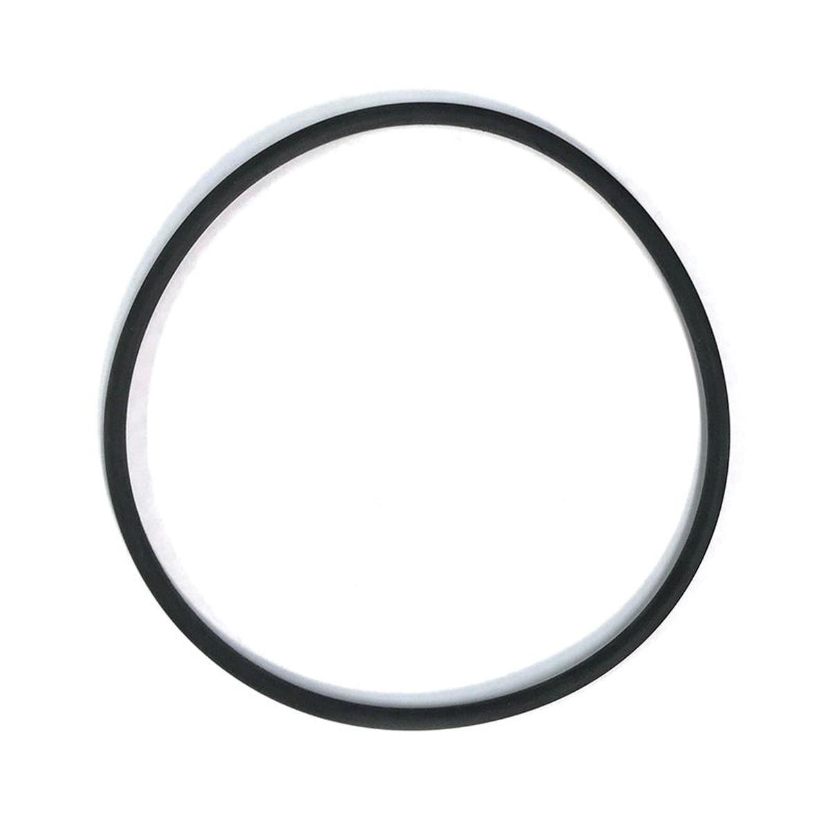 AquaUltraviolet PART - Ultima Filter Union O-Ring, 1.5"