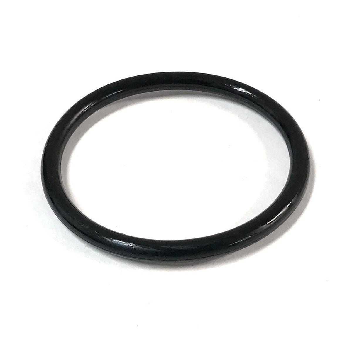 AquaUltraviolet Replacement O-Ring For Easy Twist Top