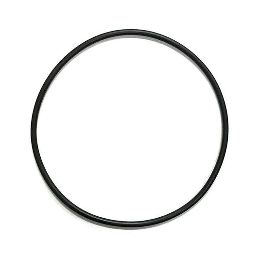 AquaUltraviolet ULTIMA II Filter O-Ring for 1,000 to 20,000 Aqua Ultraviolet