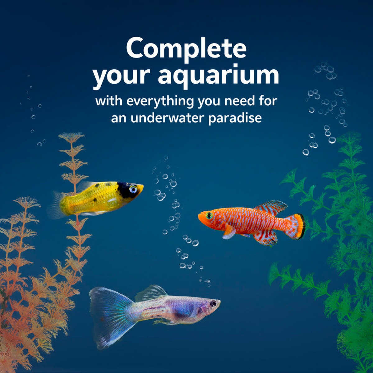 Aqueon Aquarium Essentials Kit Aqueon
