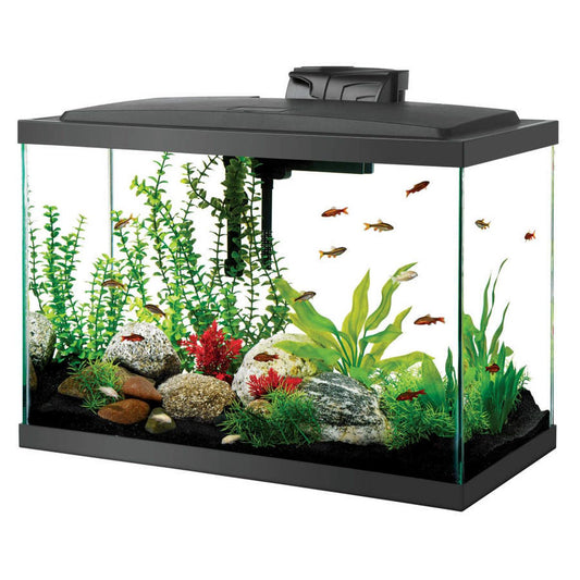 Aqueon Aquarium Starter Kit with LED Lighting 20G Aqueon